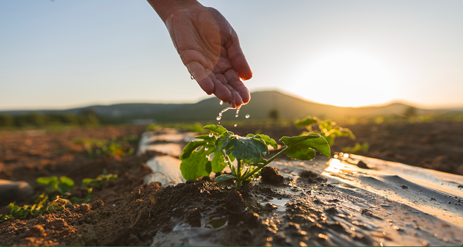 Frutech 2025 - expo sull’agricoltura e l’agroalimentare